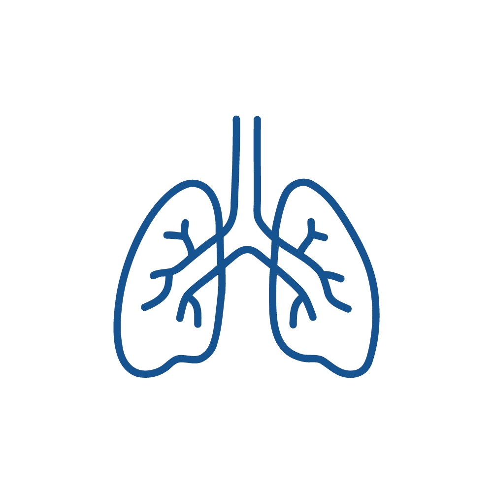 Ostéopathie - Le système pulmonaire